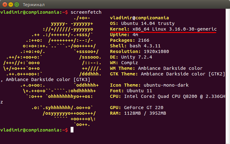 Interactive shell. Friendly interactive Shell. Screenfetch аналог. Screenfetch Linux. Linux Mint screenfetch.