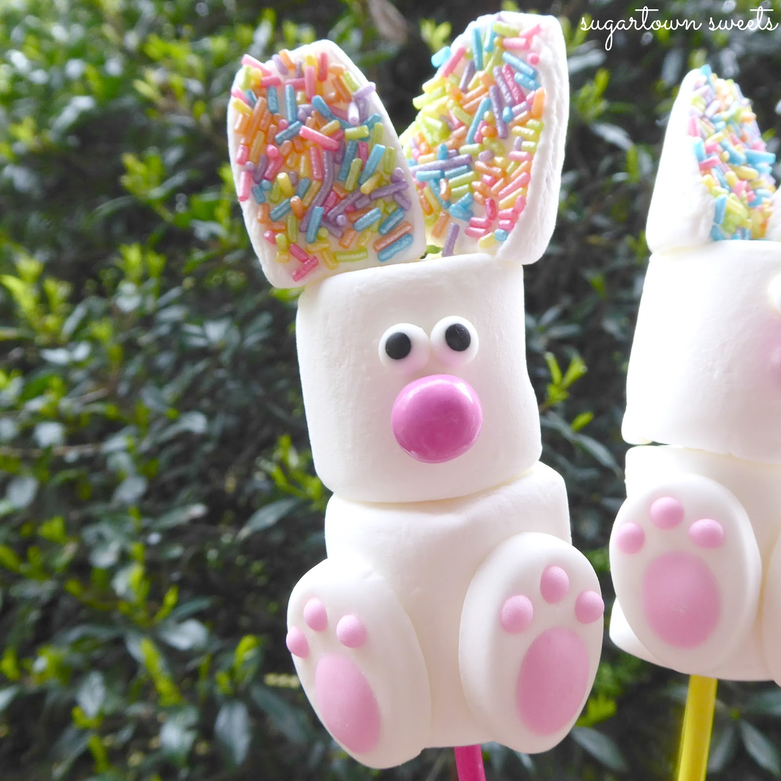 Sugartown Sweets Marshmallow Bunnies
