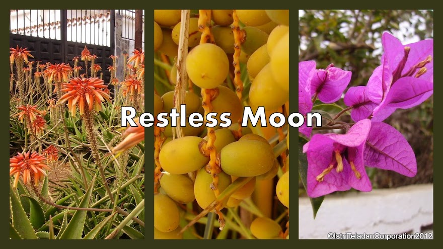 Restless Moon