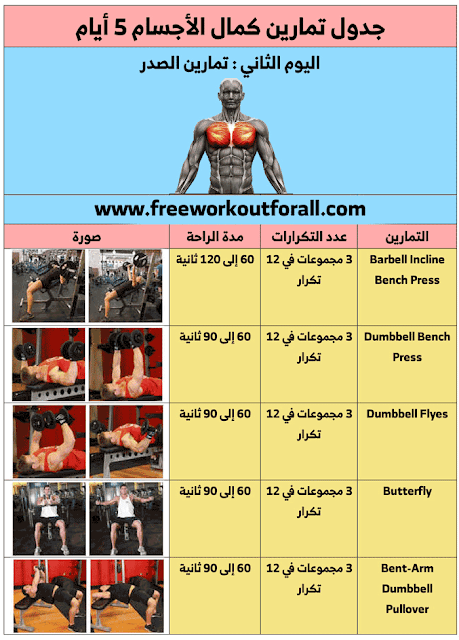 جدول تمارين كمال الأجسام 5 ايام