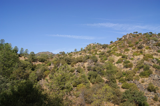 Sendero de la Vegueta del Fresno en el parque natural de Cardeña