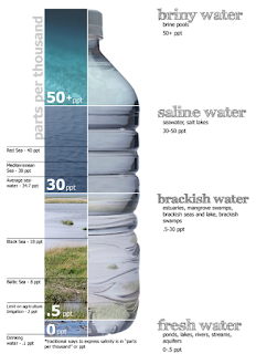 water salinity diagram