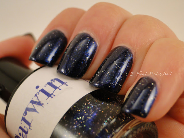 LynBDesigns Darwin