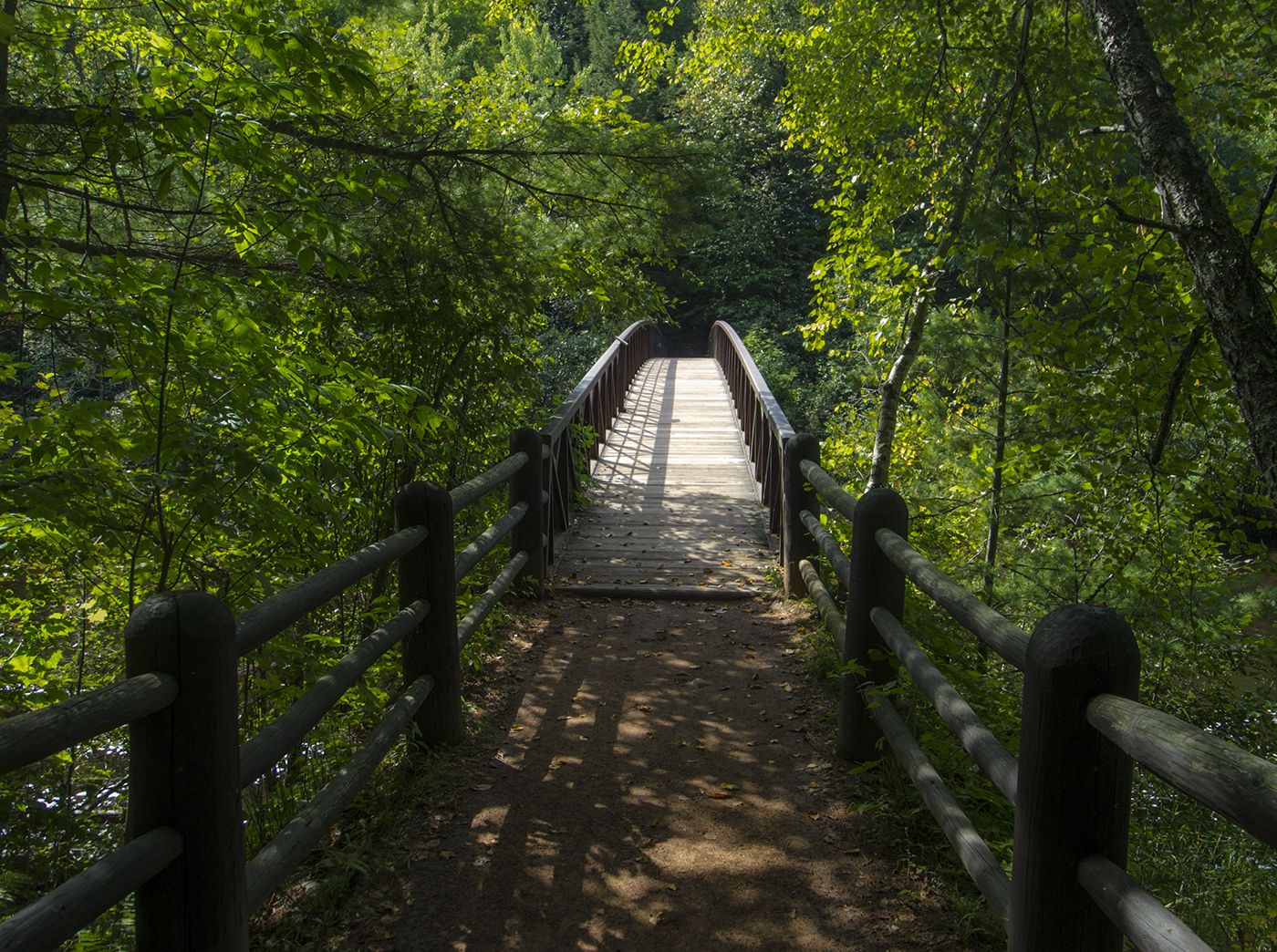 start of the Doughboy's Trail at Copper Falls State Park