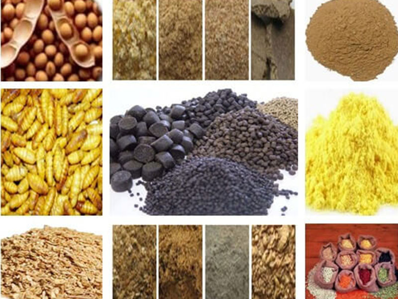 Local Raw Materials For Fish Feed In Nigeria