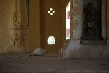 INDIA 2011: Inside a deserted shrine