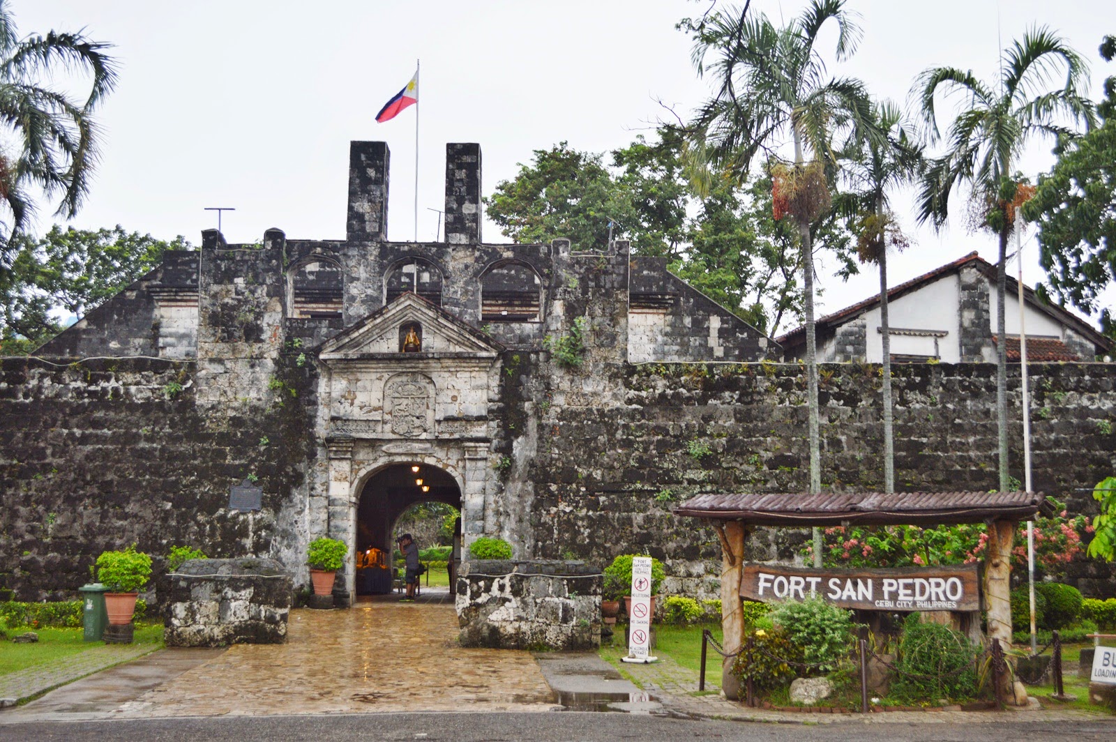 AZUL CEBÚ. BISAYAS.