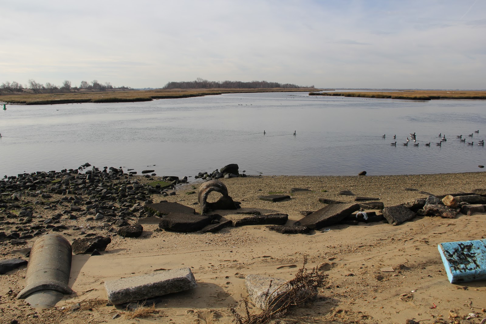 Michael Graffeo Photography Bay Park, East Rockaway back on land after