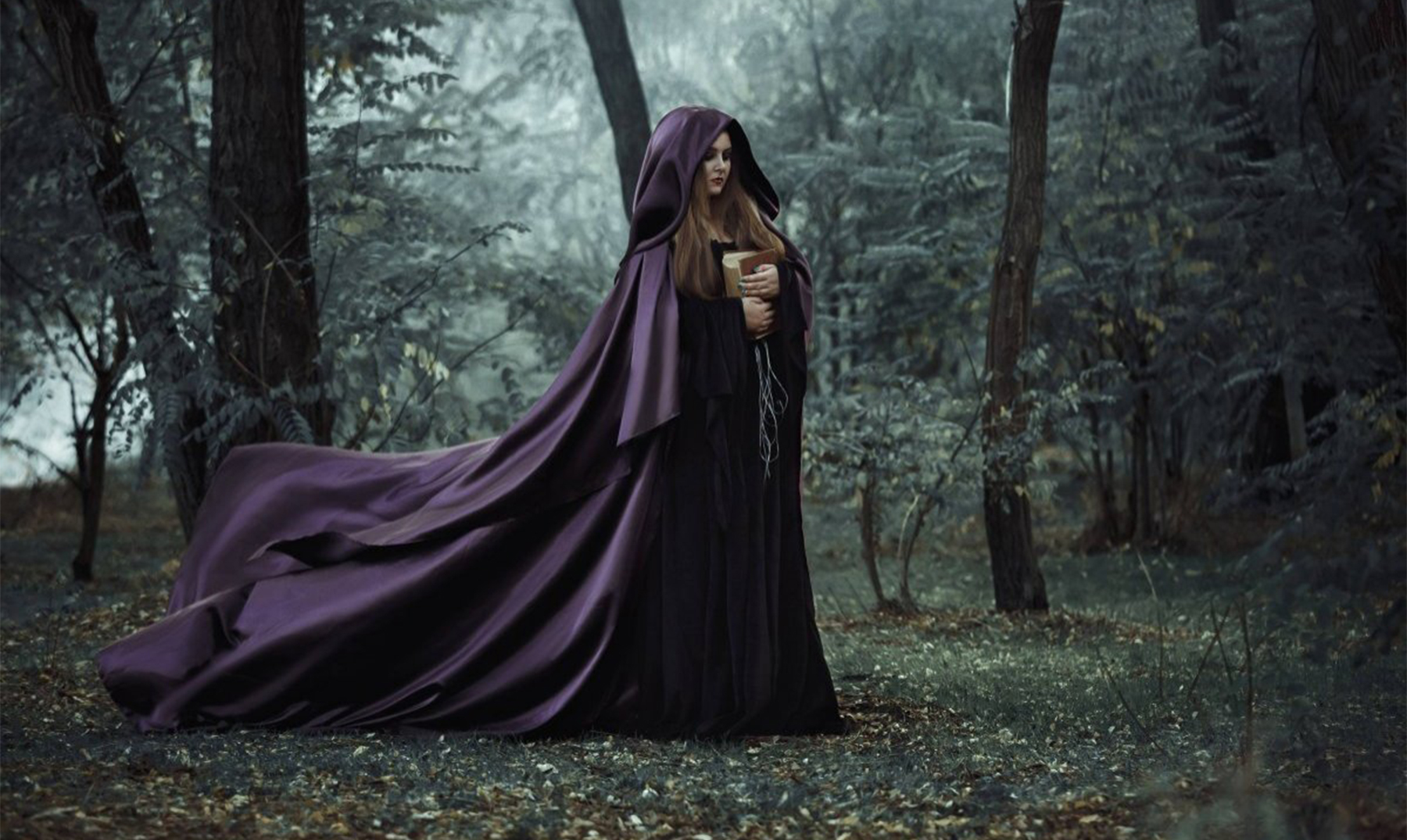 Reseña Asesino de brujas. La bruja blanca Shelby Mahurin La Biblioteca de Bella Reseña Asesino de brujas. La bruja blanca Shelby Mahurin La Biblioteca de Bella