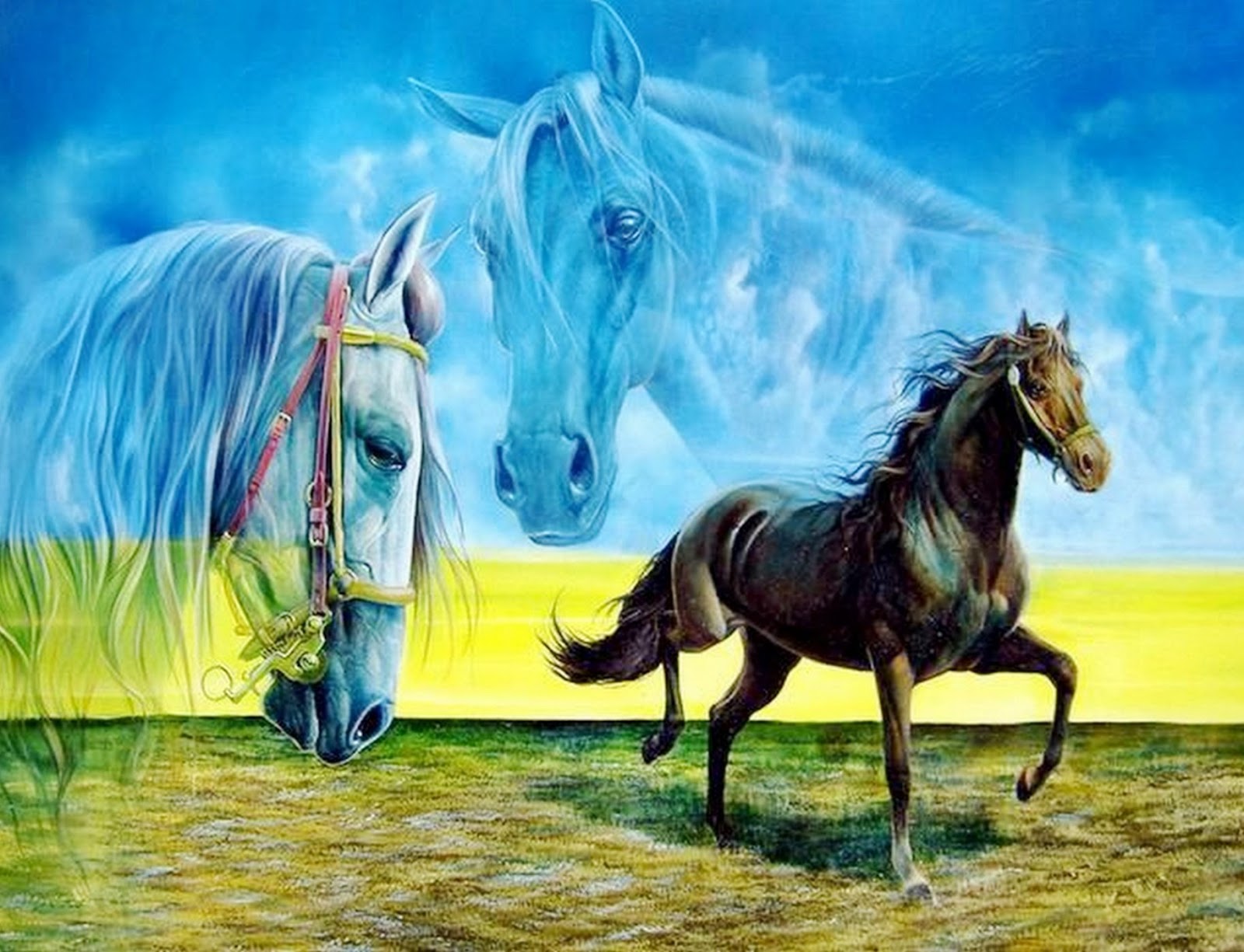 Imagenes Bonitas De Caballos