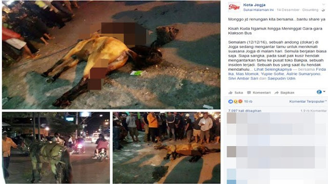 Kejadian Mengerikan! Kaget Klakson Bus, Kuda ini Mengamuk Hingga Mati