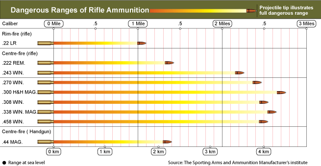 Rifle Caliber Trajectory Chart
