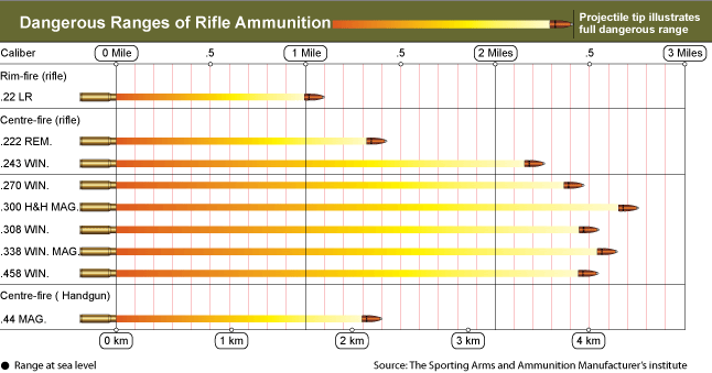 Ammo And Gun Collector Rifle Caliber And Shotgun Load Dangerous Range 