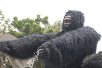 Kuber Jewellery Opening Gallery