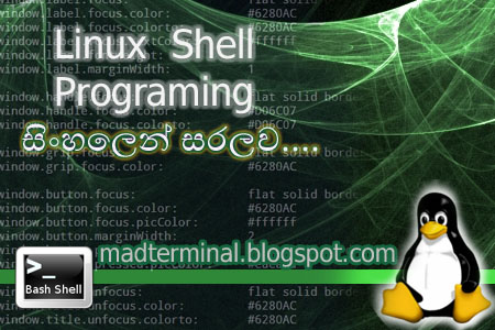 shellTutorial.jpe