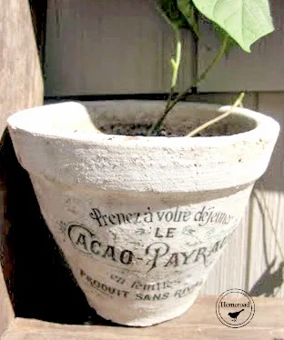transfer on a clay pot