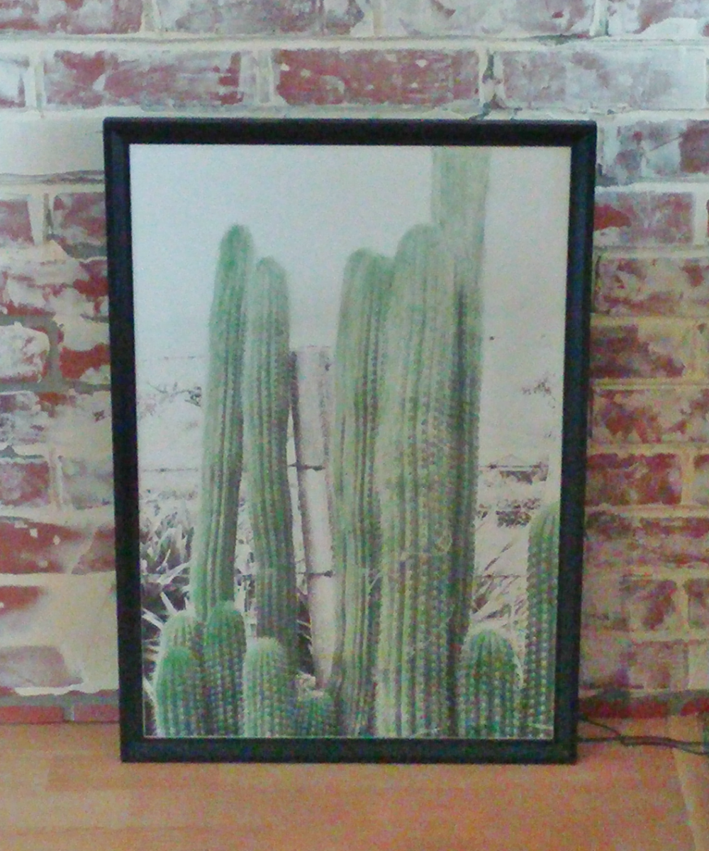 How to Tint Black & White Pictures Little Vintage Cottage