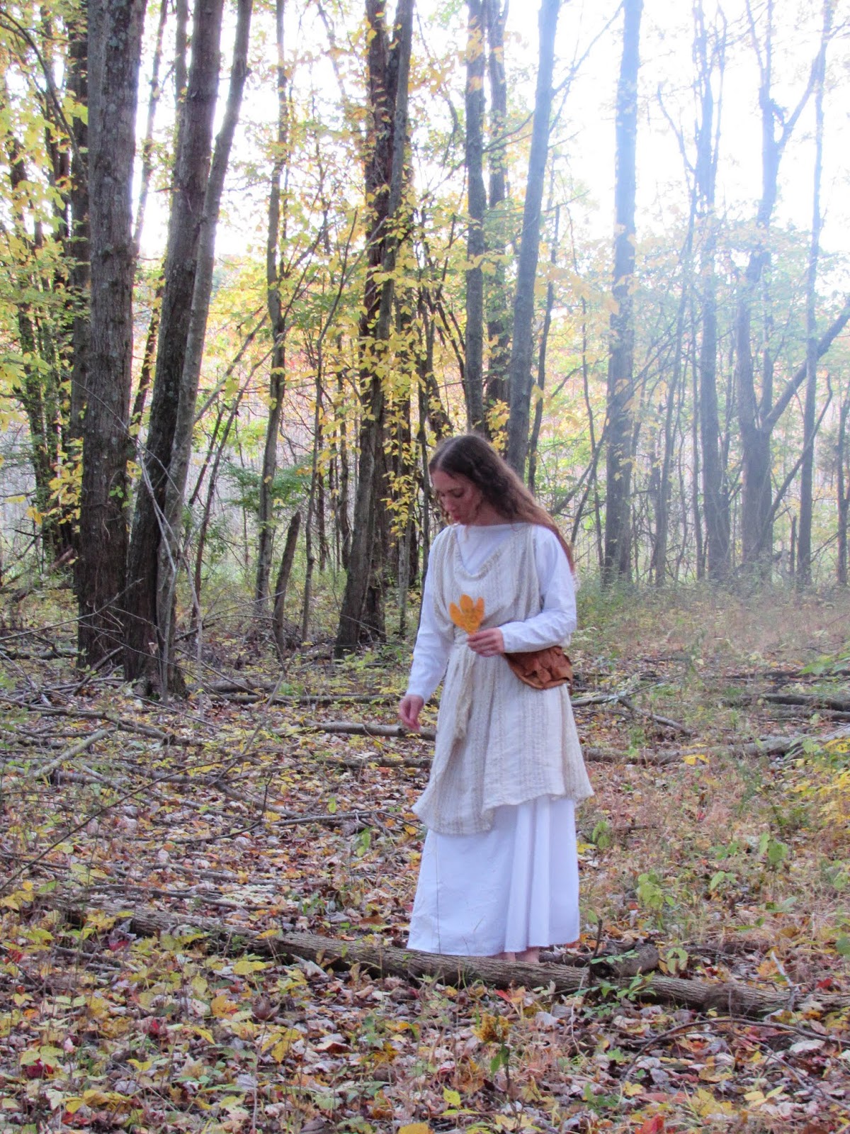 Dru Robe Romantic History: A Druid Robe