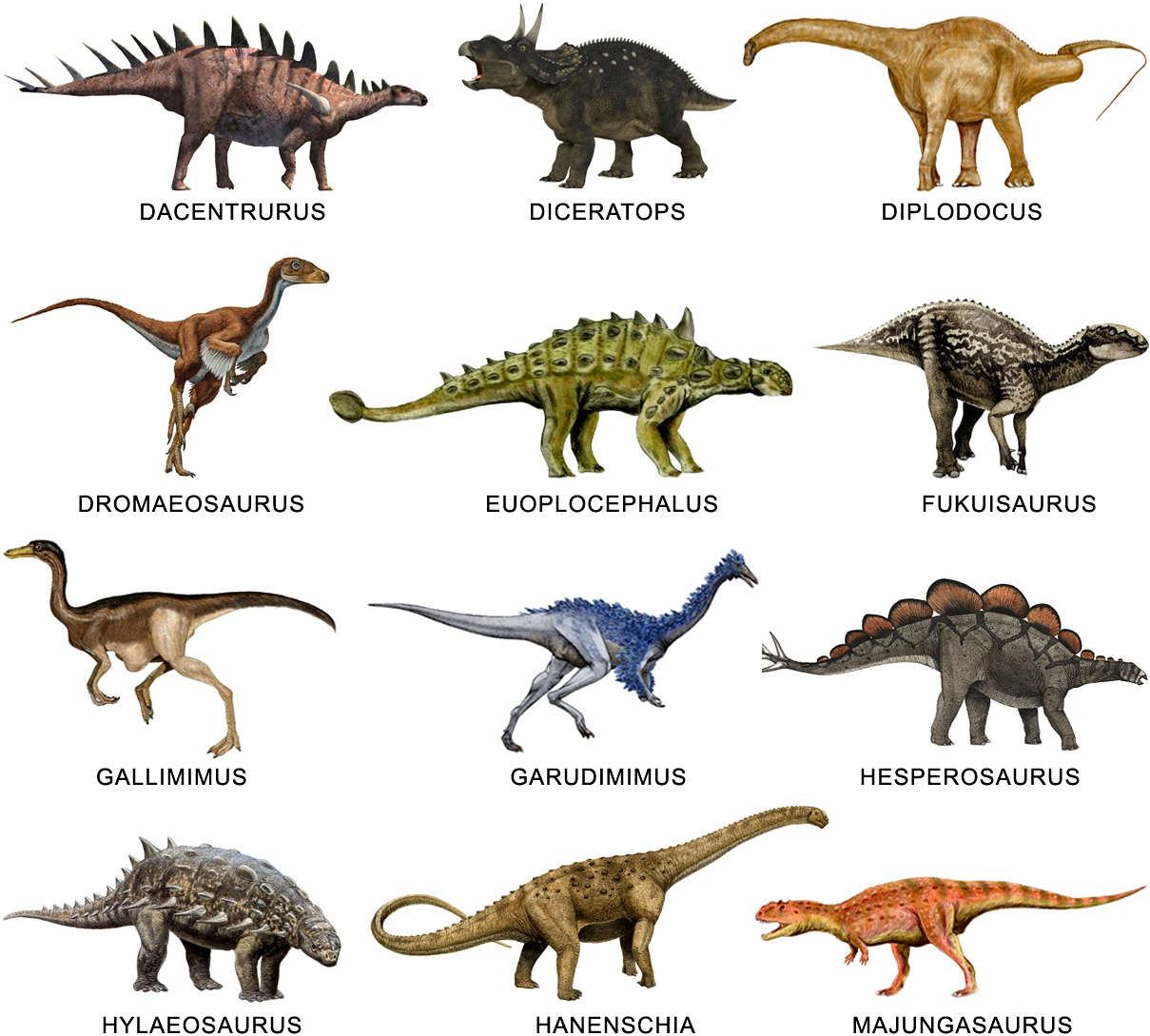CURIOSEANDO GALERÍA DE DINOSAURIOS