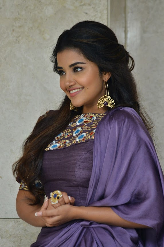 Anupama Parameswaran at Hello Guru Prema Kosame Success Meet