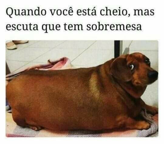 Memes+engra%25C3%25A7ados++%252815%2529.