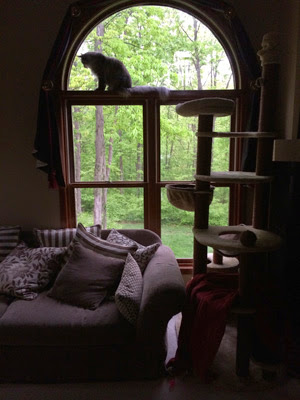 Shiva during tornado warning