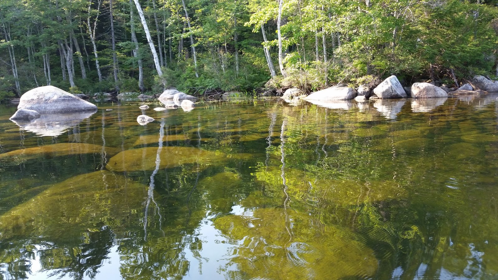 Recreational Kayaking in Maine Peabody Pond, Sebago/Bridgton, Maine