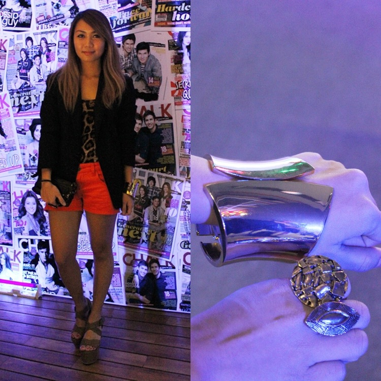 The Style Flux CHALK Fashion Rocks 2011