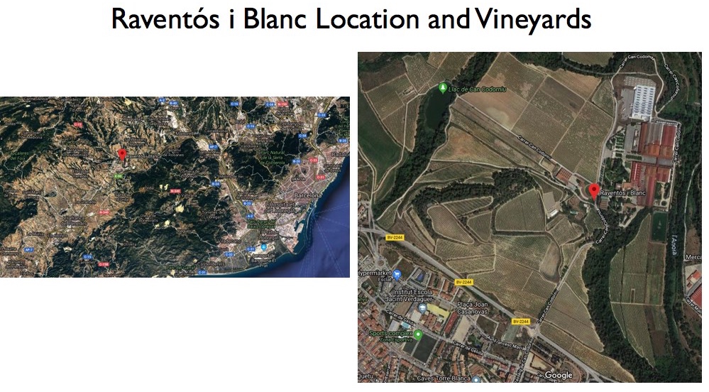 Wine -- Mise en abyme: The 2007 Mas Del Serral from Raventós i Blanc