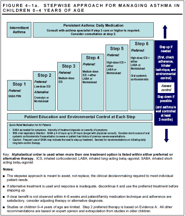 Pediatric Asthma FAQs Overview of the Disease Process