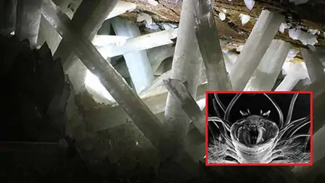 La NASA revive 'extrañas formas de vida' atrapadas en cristales gigantes del inframundo