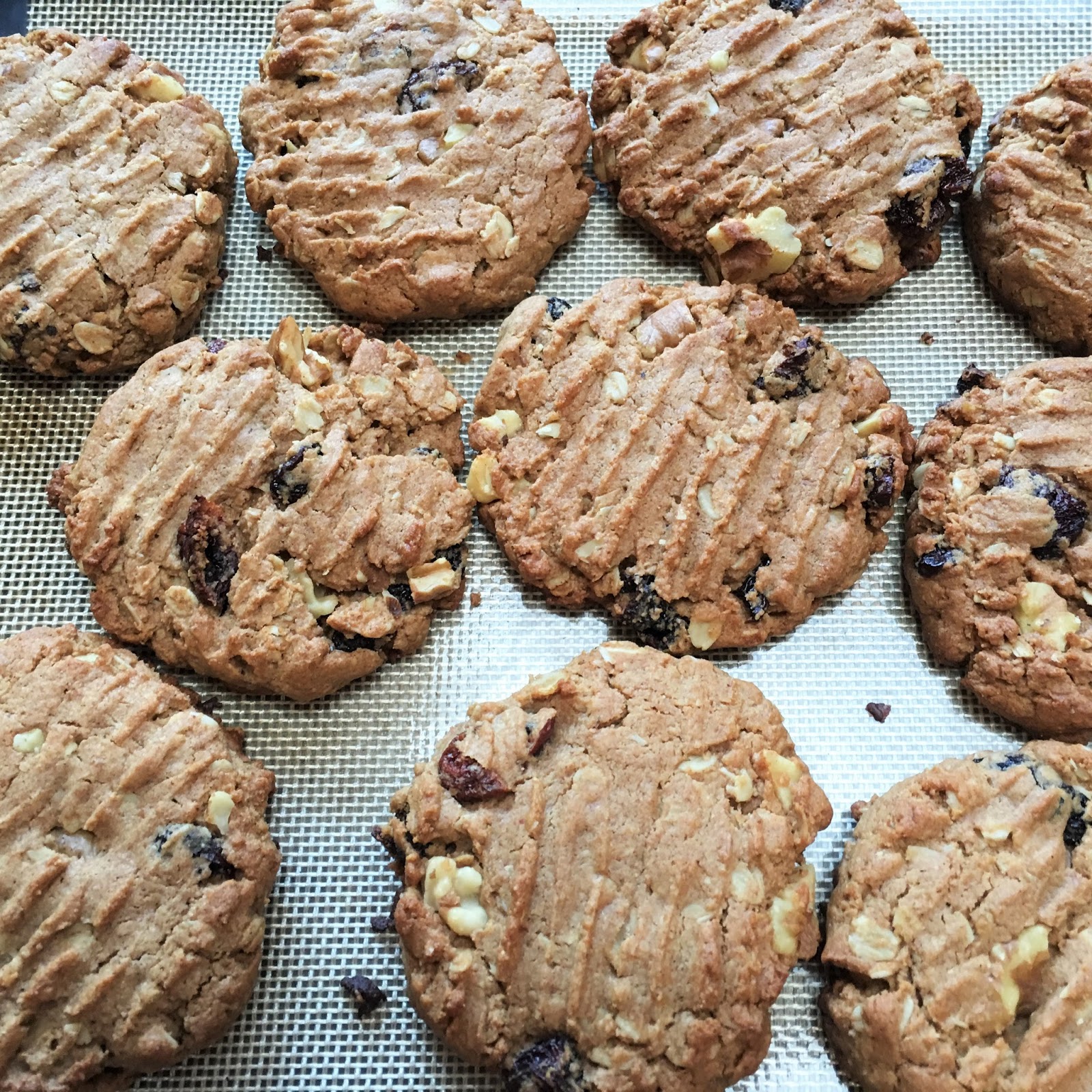 Oregon Trail Cookies mysavoryspoon