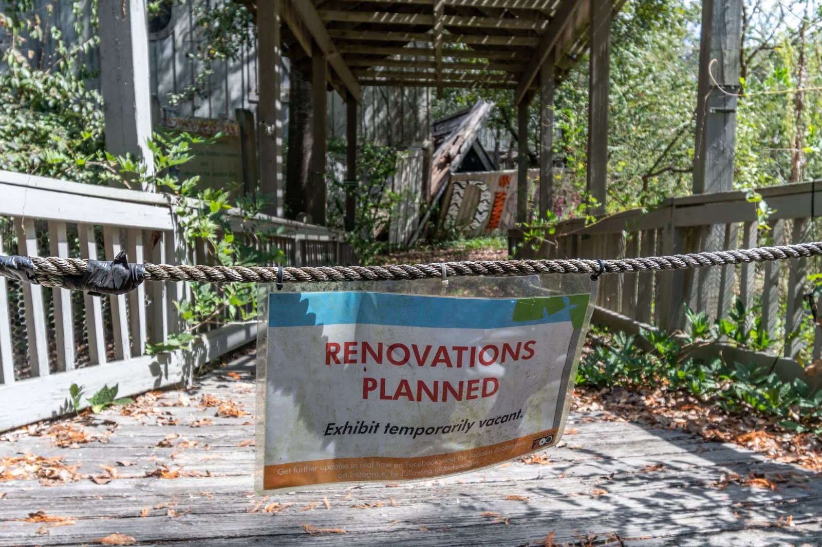 Jackson Jambalaya One Last Day at the Zoo