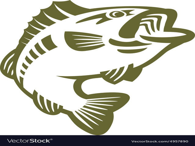 100 Gambar Logo Ikan Unik Warna Cantik Bisa Anda Download Gratis