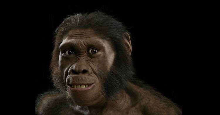 Manusia Purba Di Afrika ~ Social II