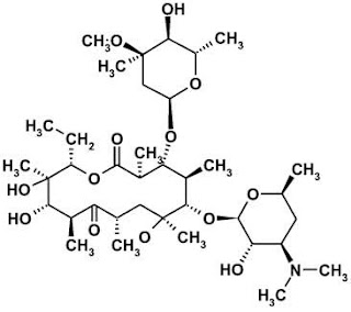 Chemical structure of erythromycin