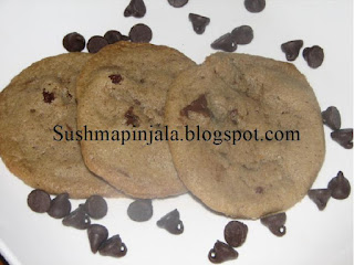 Chocolate Chip Cookie