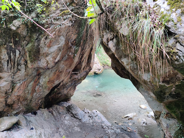 The Ultimate Guide To Himachal Pradesh jibhi