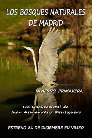 DOCUMENTAL. LOS BOSQUES NATURALES DE MADRID. EL INVIERNO Y LA PRIMAVERA