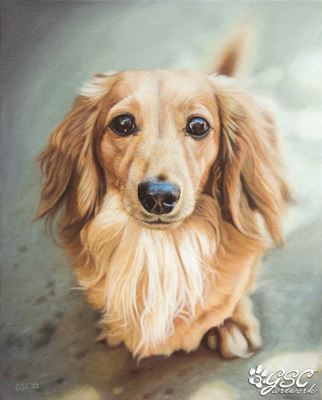 dachshund weiner dog breed pup puppy animal pet portrait canine art artwork acrylics acrylic painting