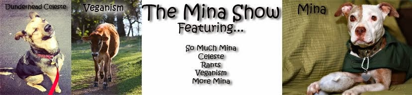 The Mina Show