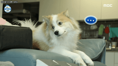 Honeycam%2B2021-02-06%2B11-51-35.gif