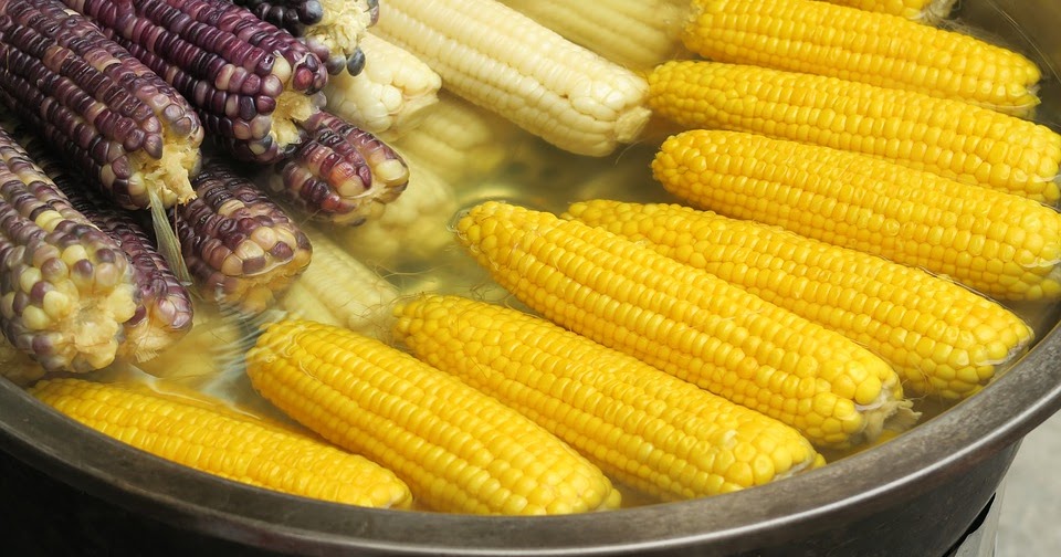 is corn healthy for you