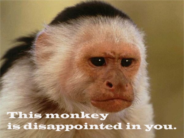 [Image: disappointed+monkey.jpg]