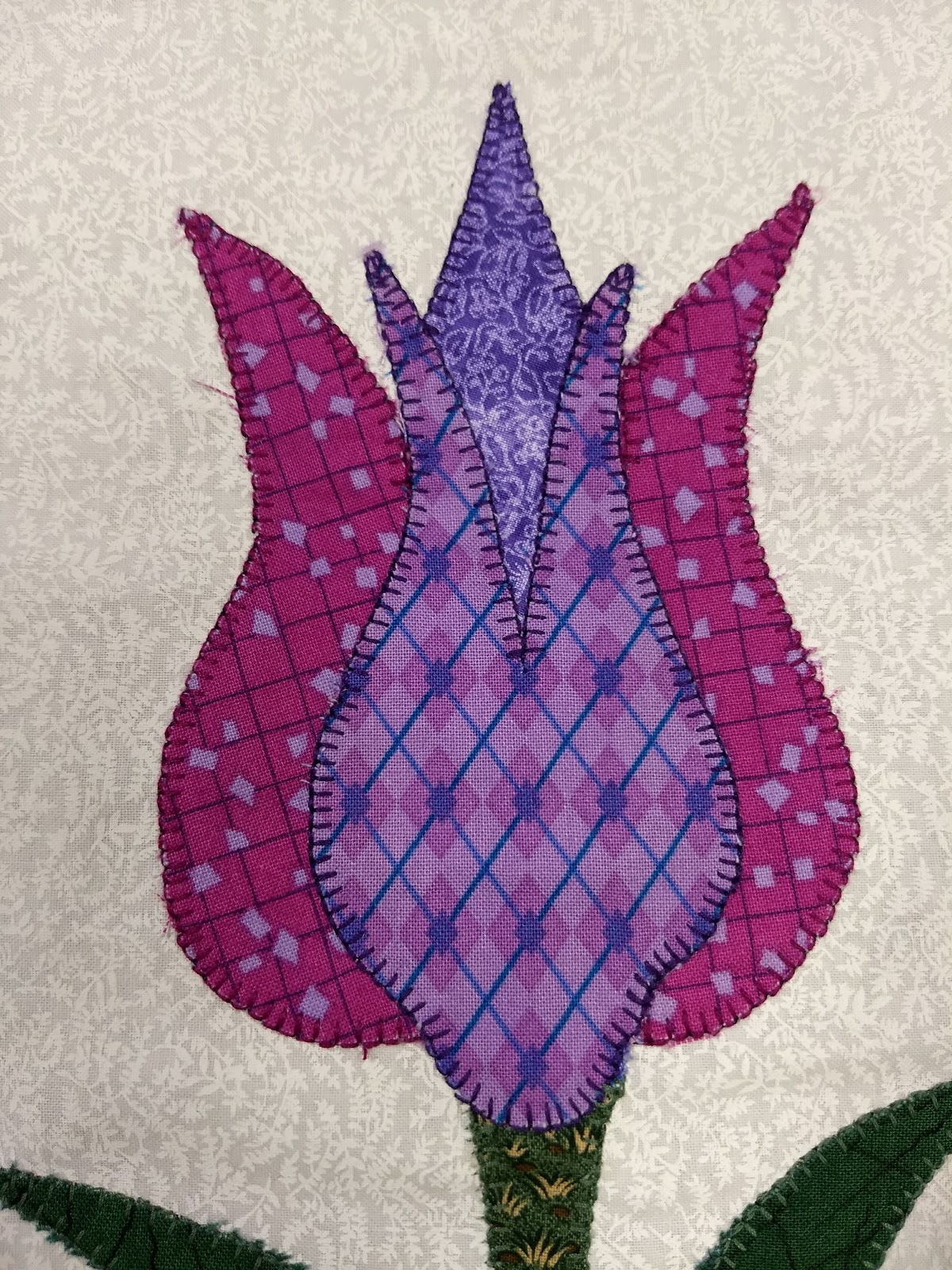 sterquilt Apple River Quilt Guild Class! Eye Candy Ahead!