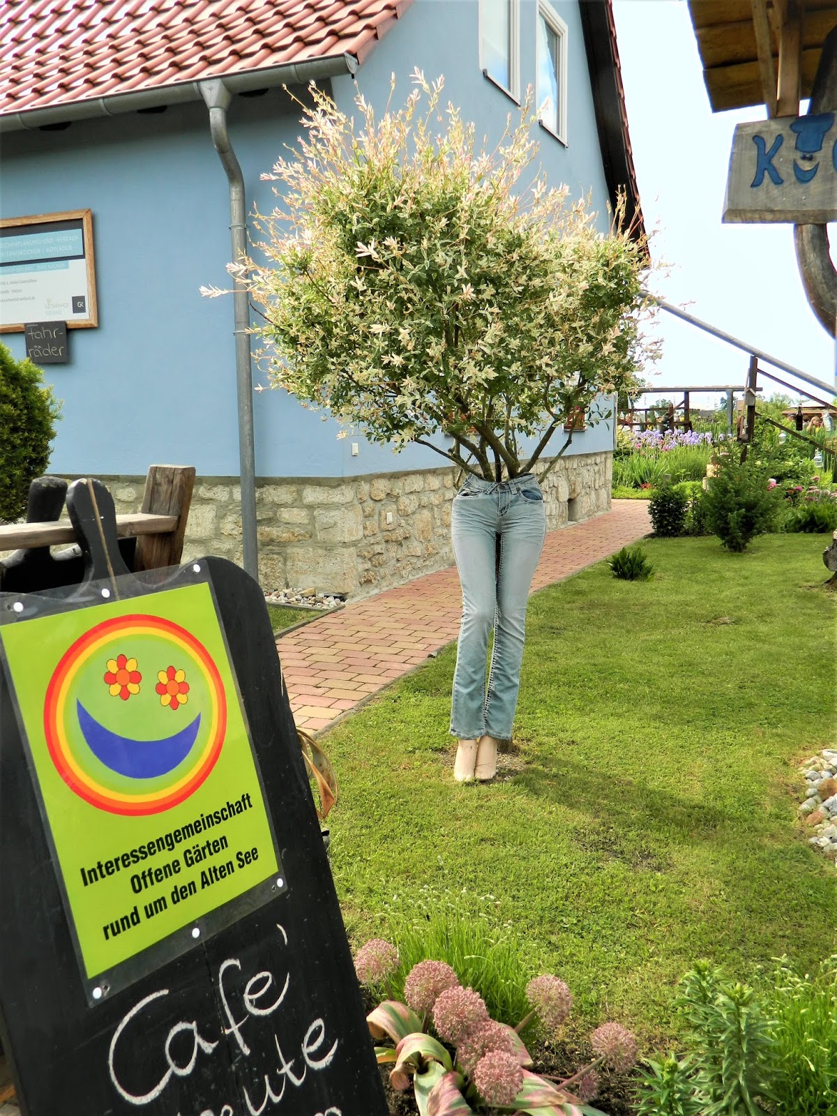 Gatersleber Briefe Offene Gärten rund um den Alten See (I) Den