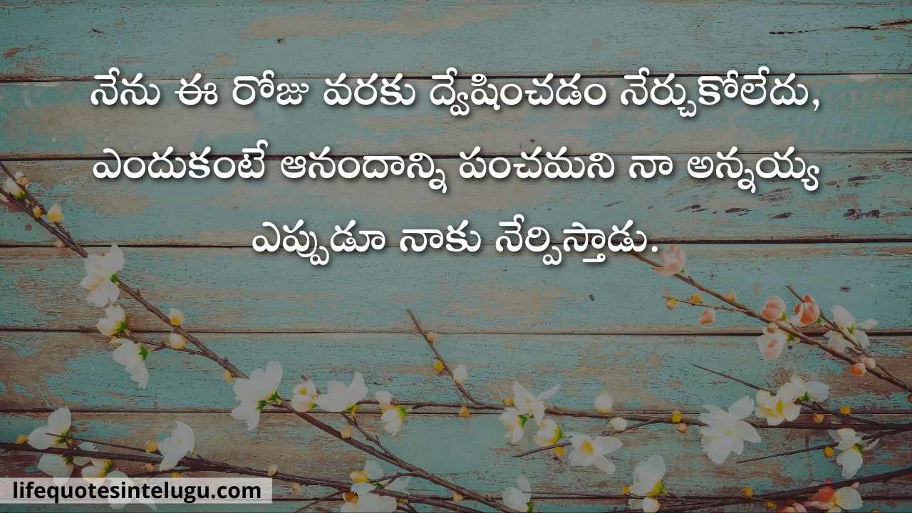 Brother Quotes In Telugu