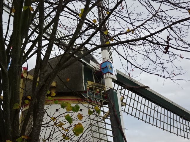 Molen Rockanje