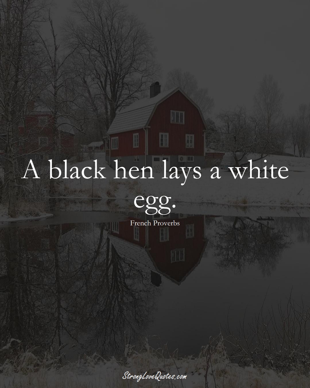 A black hen lays a white egg. (French Sayings);  #EuropeanSayings