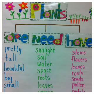 Little Miss Hood's Adventures in Kindergarten: Plants